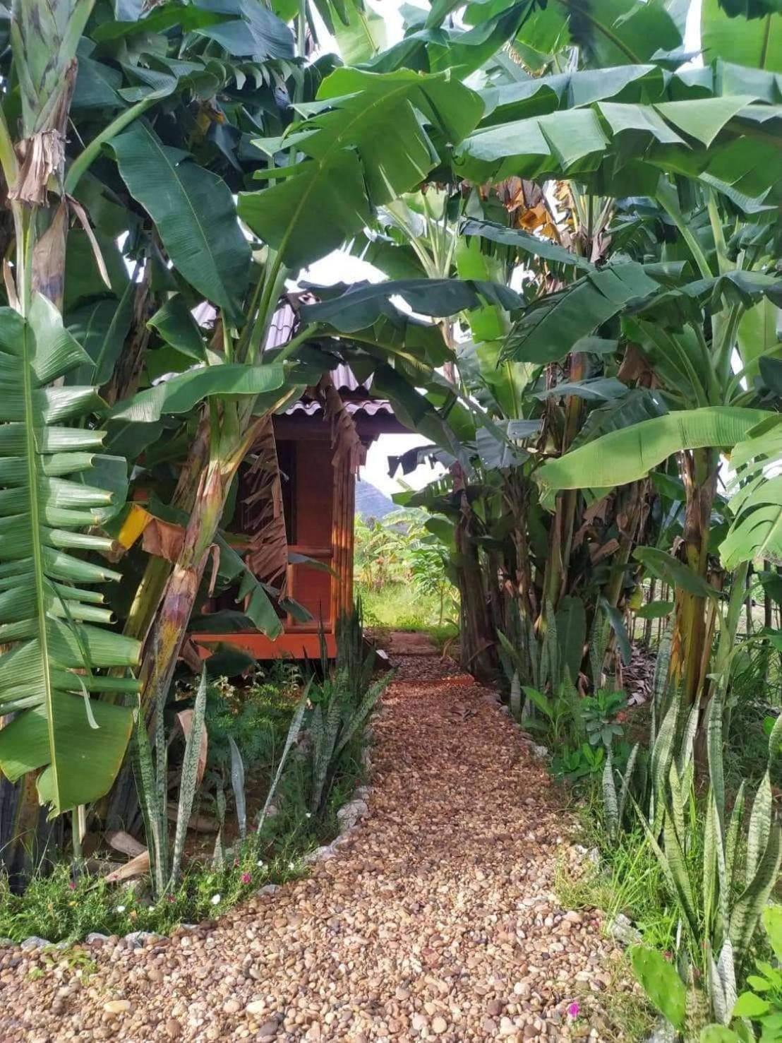 Nana Bungalows Ban Tan Szoba fotó